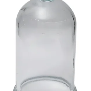 GLASS BELL JAR